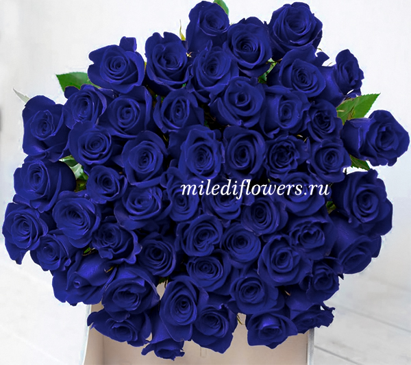 Монобукет из 51 синей розы